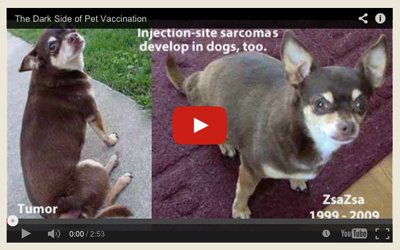 darkside of pet vaccinations video link